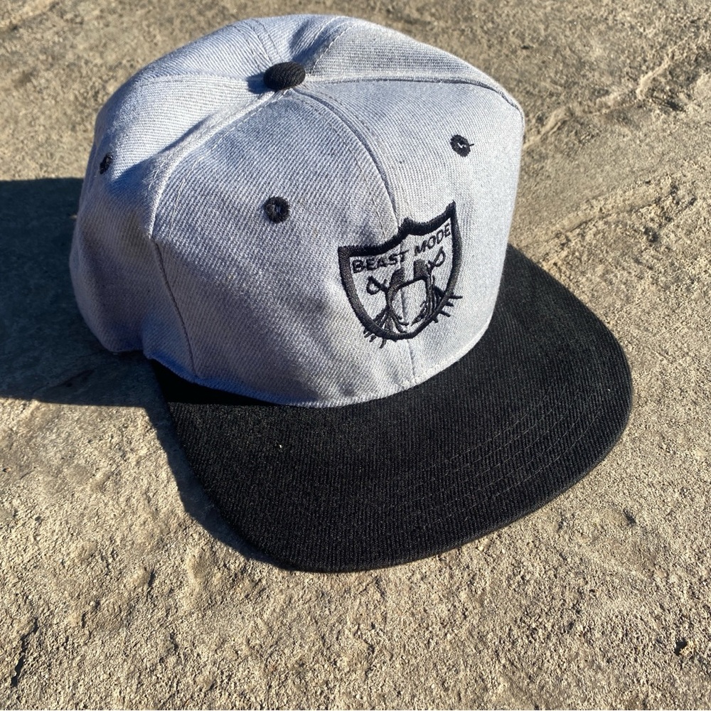 Hat, Beast Mode Raider Colors Snapback